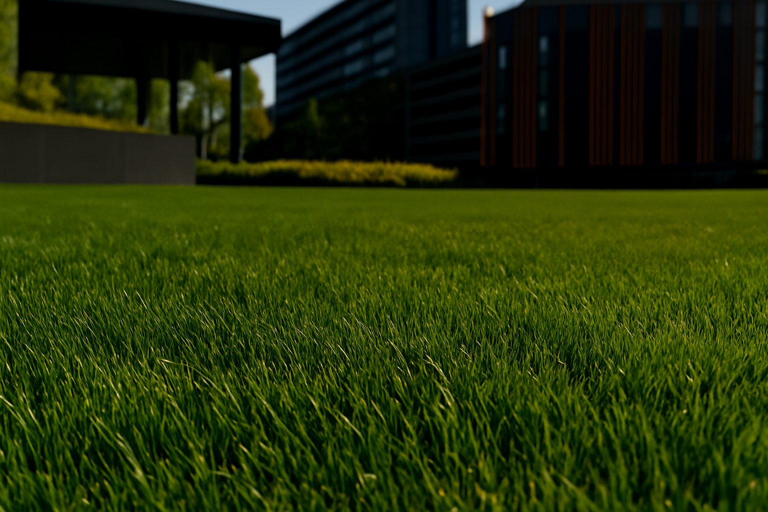 Beautiful lush green lawn with modern architecture